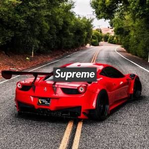 Meet your Posher, Wyatt